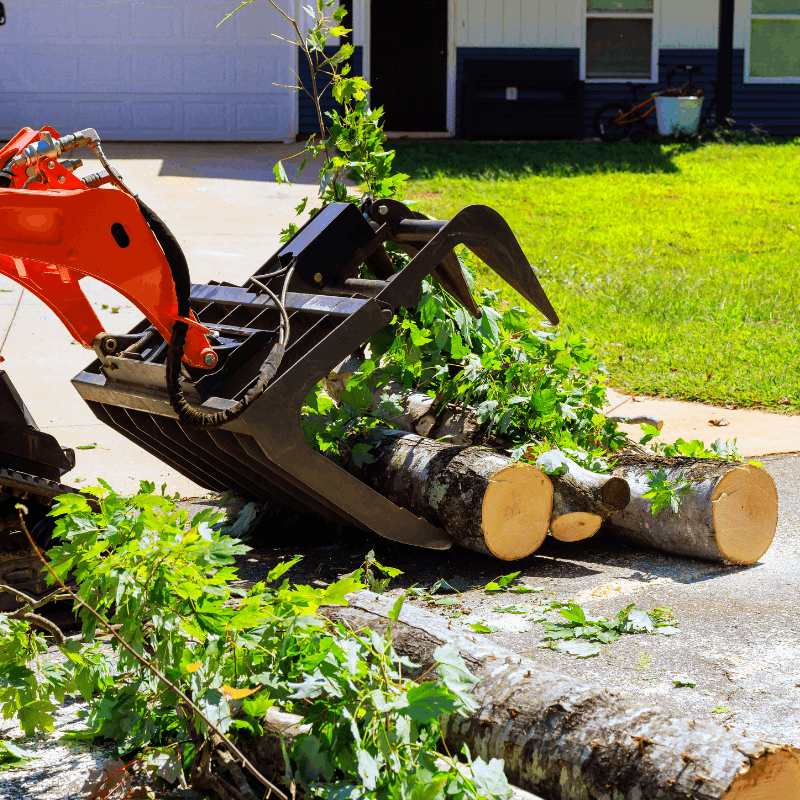 yard waste removal services